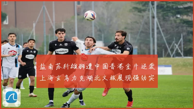 盐南苏科雄狮遭中国香港金牛逆袭上海玄鸟力克湖北文旅展现强劲实力