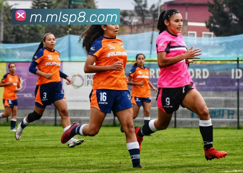 米兰体育平台生态图