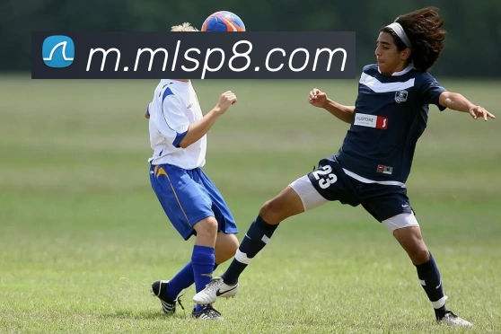 米兰体育APP 封面图